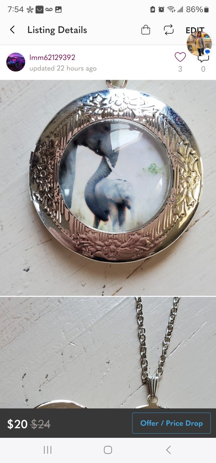 New Elephant Locket Necklace SHIPPING AVAILABLE
