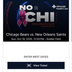 Bears vs Saints 10/19 Game