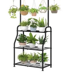 Plant Stand 