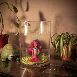 New Glass Fishbowl Comes With Rocks