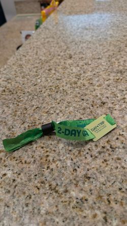 2 Day GA Daytrip wristband