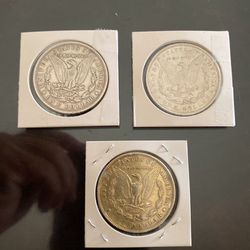 Three Diferent Morgans Diferent Year
