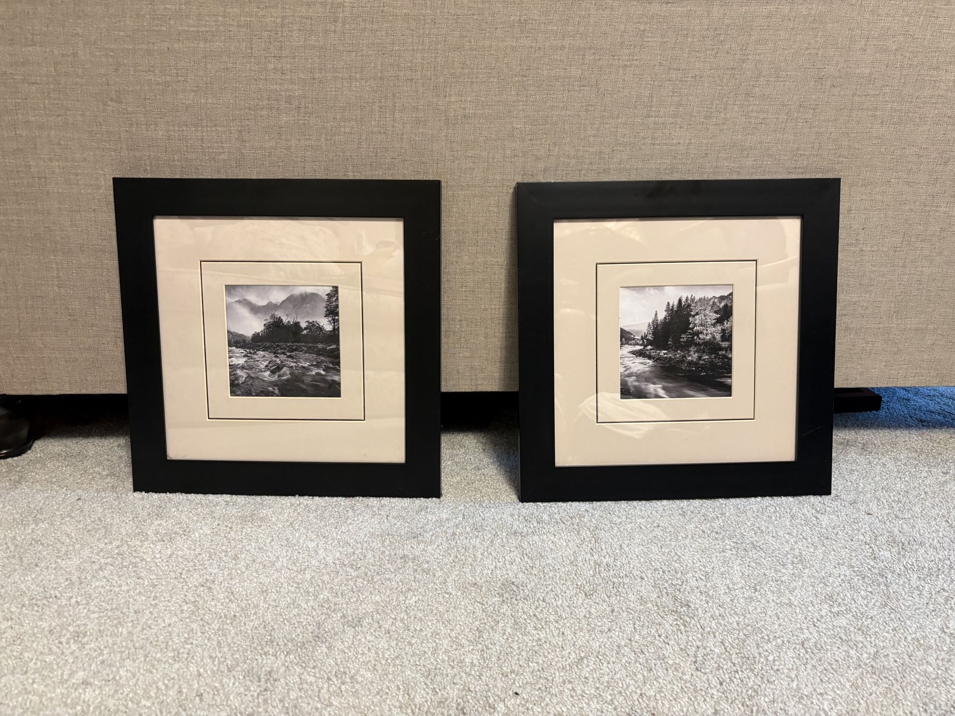 Pair of 2 black framed nature prints - matted
