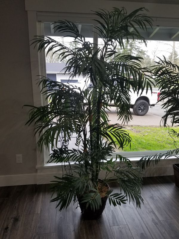2 Fake House Plants Decor Purchased At Walmart For Sale In Salem
