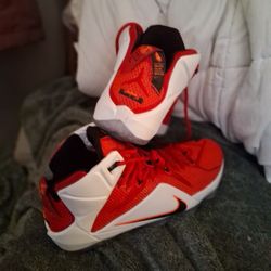 LeBron James 2014  Heart  Of A lion Size 12 (Mint Condition)