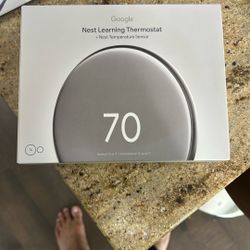 Google Nest 4th Gen + Temp Sensor (gen 2)