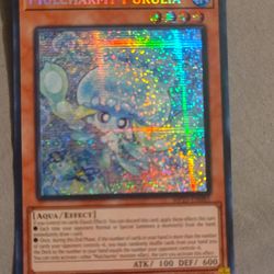 Mulcharmy purulia mp25