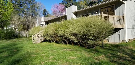 Affordable hedges and pruning