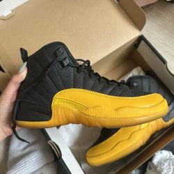Jordan 12 