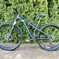 Medium Raleigh FS Mtn Bike