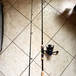 Rising Pole For Sale ! 