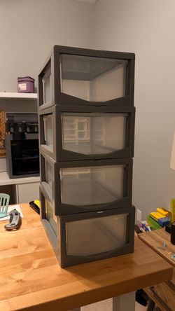 Storage organizer