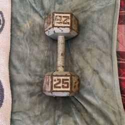 25 Pound Cast Dumbbell