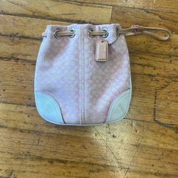 Mini Purse - Wristlet