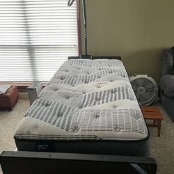 Twin Size Sealy Mattress with Boxspring 