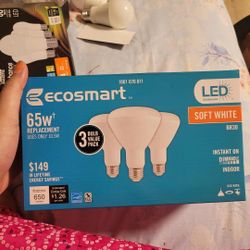 Ecosmart WiFi Bulb
