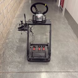 Race Wheel Pedals And Stand With Shifter 