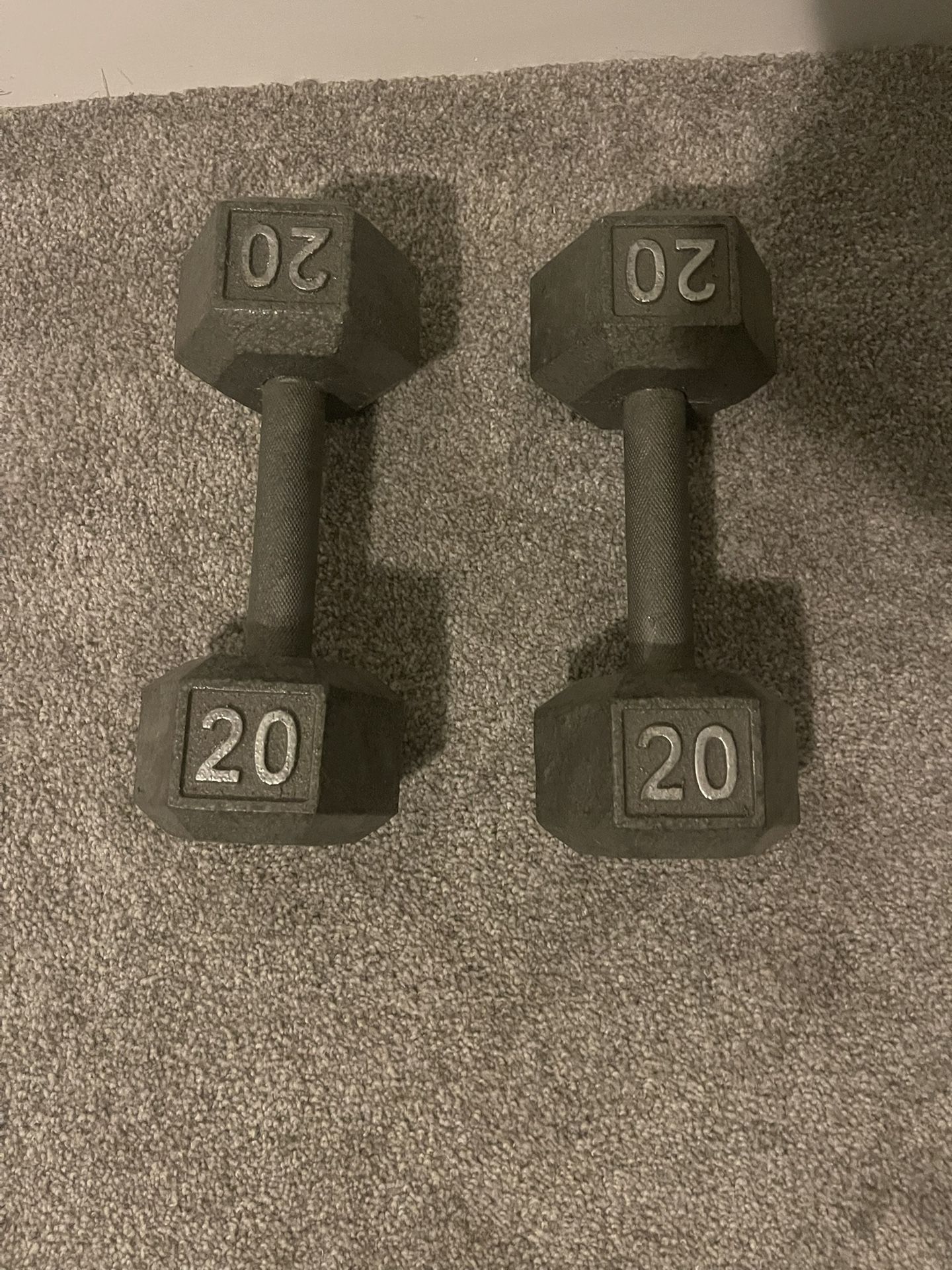 20 Pound Dumbbells 