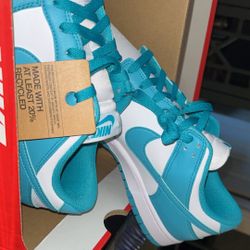 Brand New Nike dunks! Men’s Size 11.5