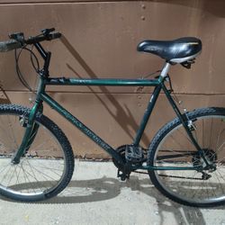 Diamond Back Large Frame