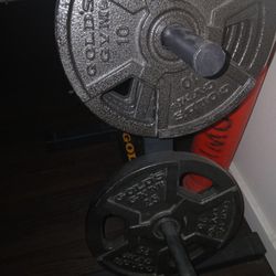 Golds Gym Weight Lifting Setup 