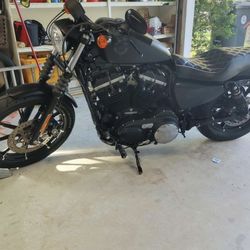 2020 Harley-Davidson xl883n sportster