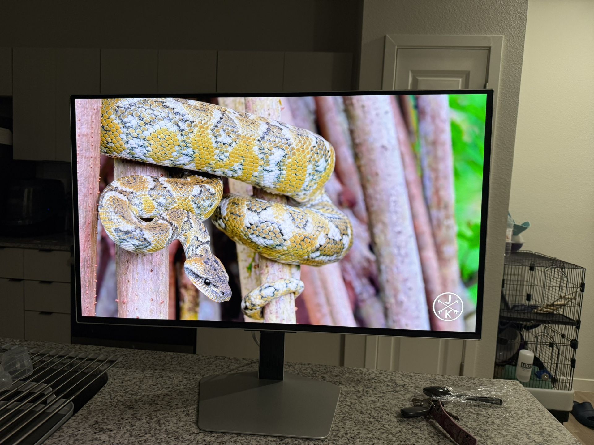 Samsung G8 OLED