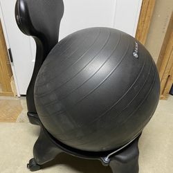 Balance Ball Desk Chair
