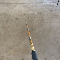 6’4 Fenwick Offshore Fishing Rod 