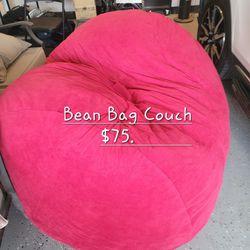Bean Bag Chairs And Couch