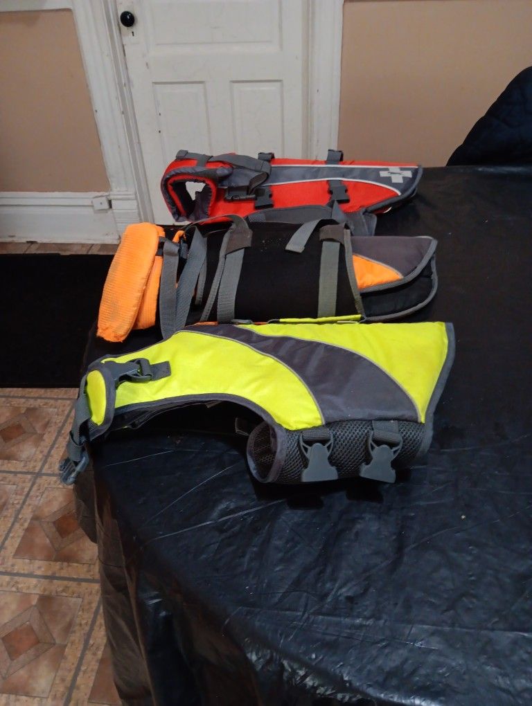 Dog. Life Vest
