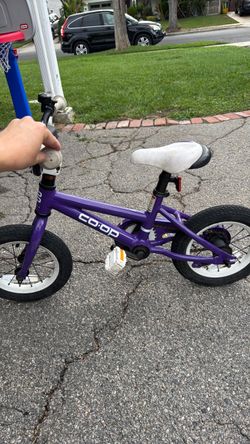 Kids Bike (REI)