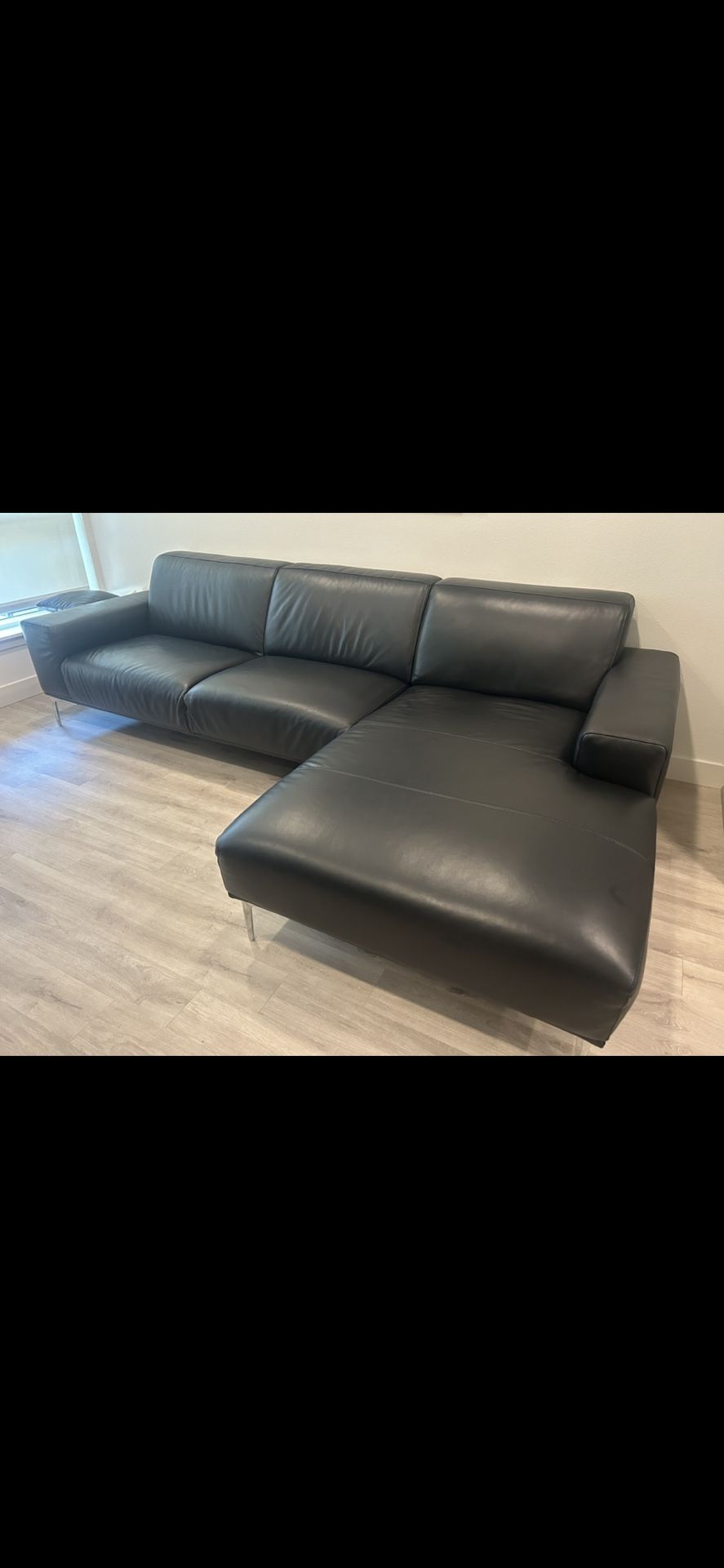 Leather Couch / Sectional