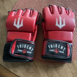 MMA Gloves