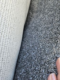 New Gray Carpet 9x8