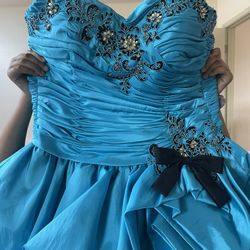 Quince Dress- Brand New With Petticoat 