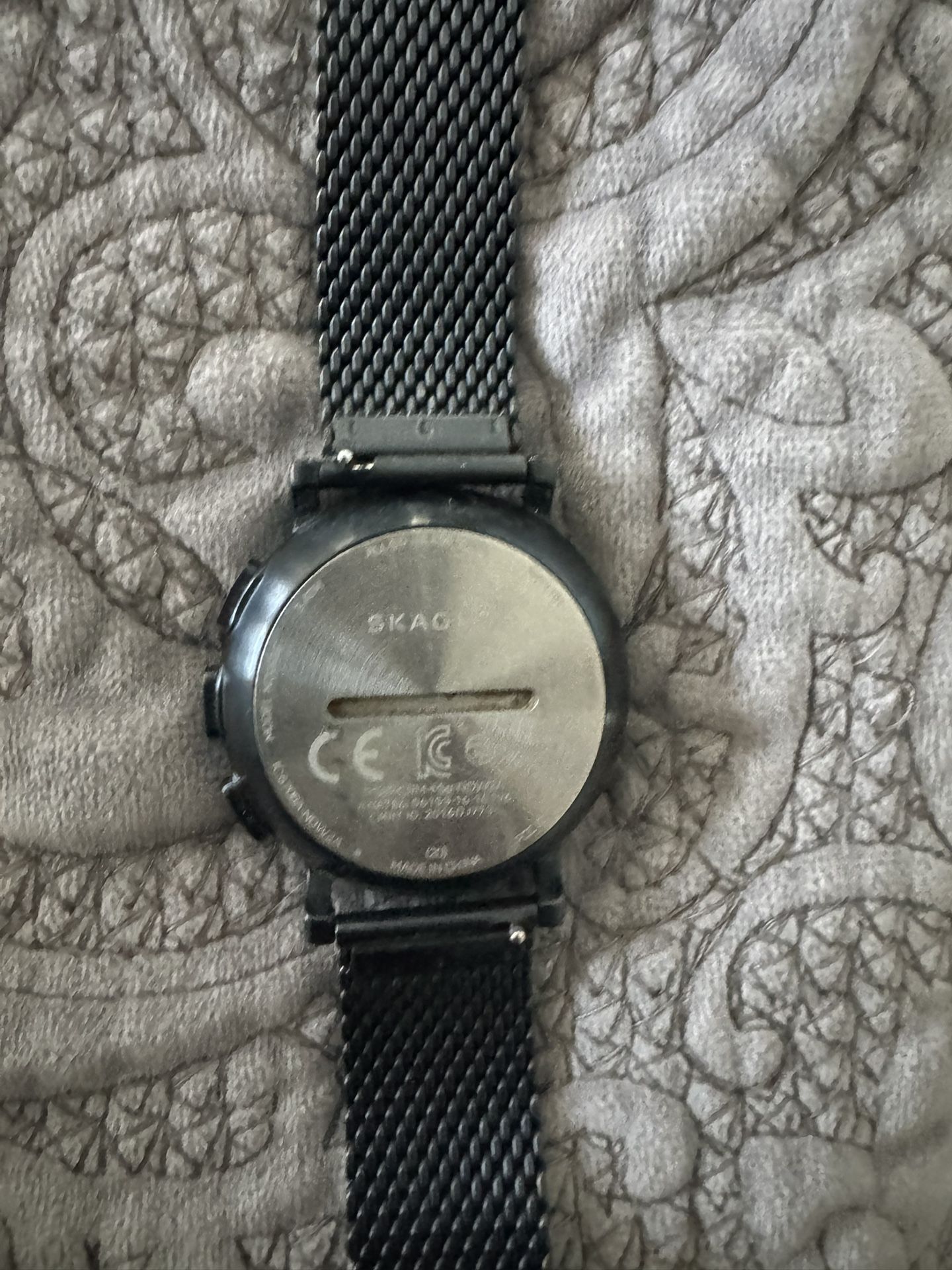 Skagen Watch