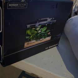 Mini First Fish Tank 