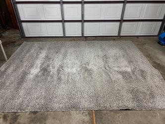 Free High Pile Area Rug 11x8