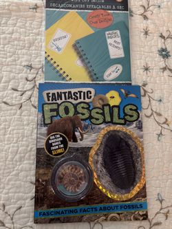 SALE Fantastic Fossils Book Fascinating Facts About Fossils Brand New With Wipe Off Sticker Sheets (FREE) Purchase 4 Books For $1.00 Each