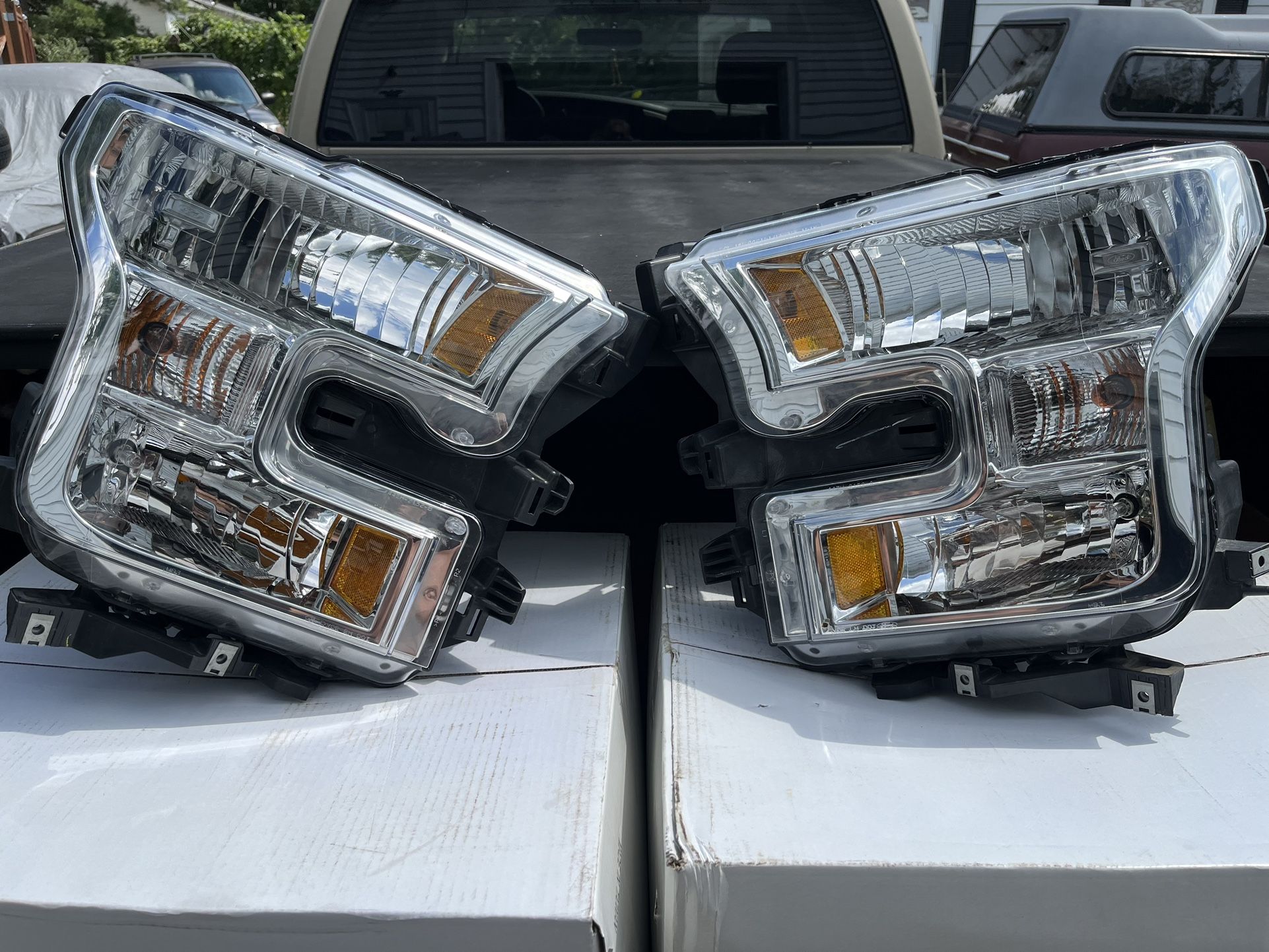 Headlight Housing $25.00 Each