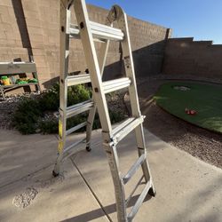 Werner 13’ Foldable + Expendable Ladder