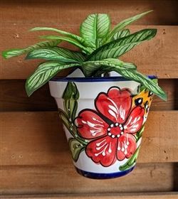 Florida Wall Planter 8.5" "D