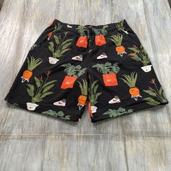 Nike Shorts 