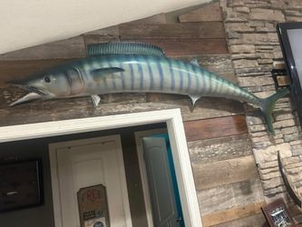 Repro Wahoo Taxidermy Mount