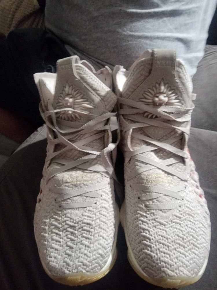 LeBron Nike Shoes