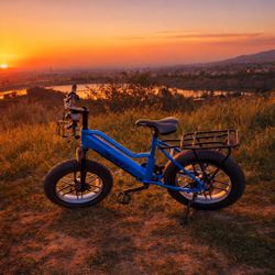 Blue Pedego Electric Bike 20 Element V2