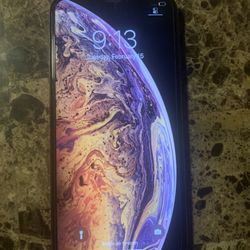XS Max Today 225