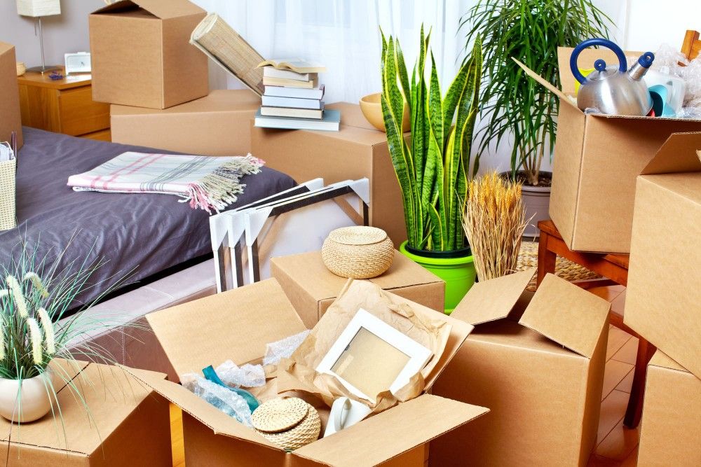 ✨ Moving Sale – Everything Must Go ✨