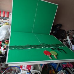 Prince Ping Pong Table From Dicks